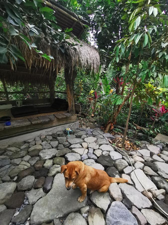 Les Garden Villa เตจากูลา ภายนอก รูปภาพ