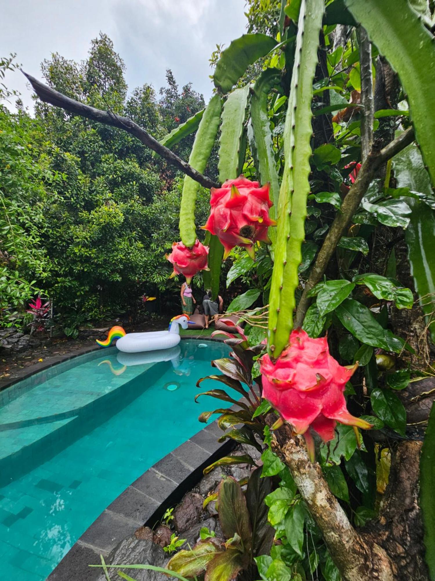 Les Garden Villa เตจากูลา ภายนอก รูปภาพ