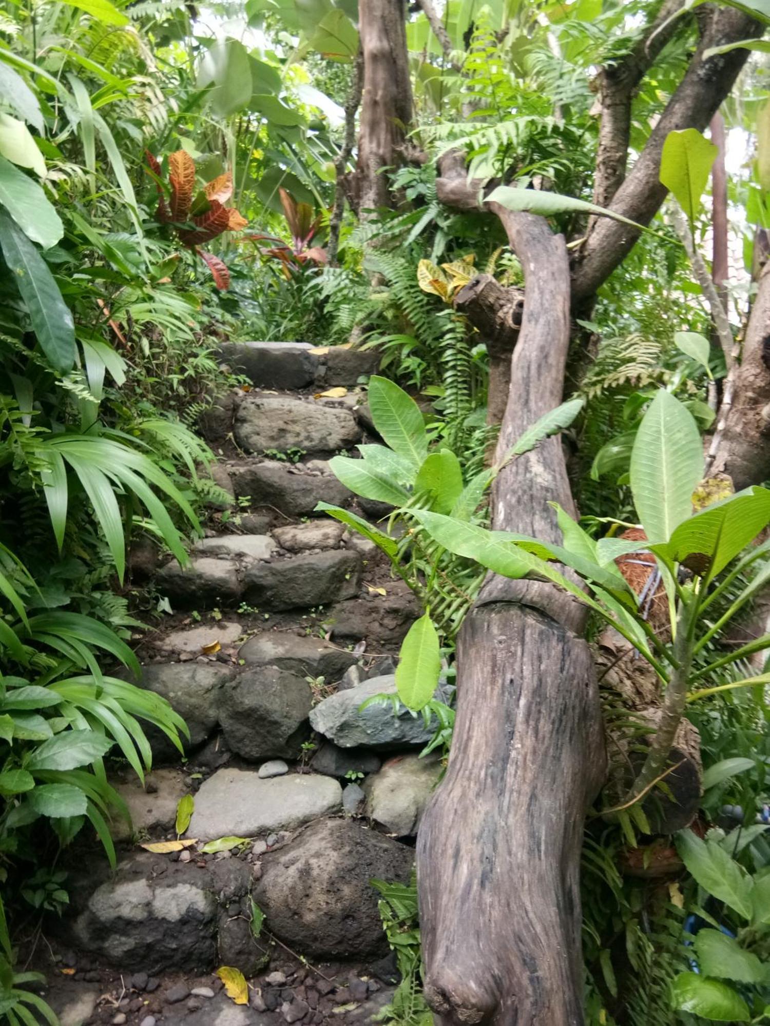 Les Garden Villa เตจากูลา ภายนอก รูปภาพ