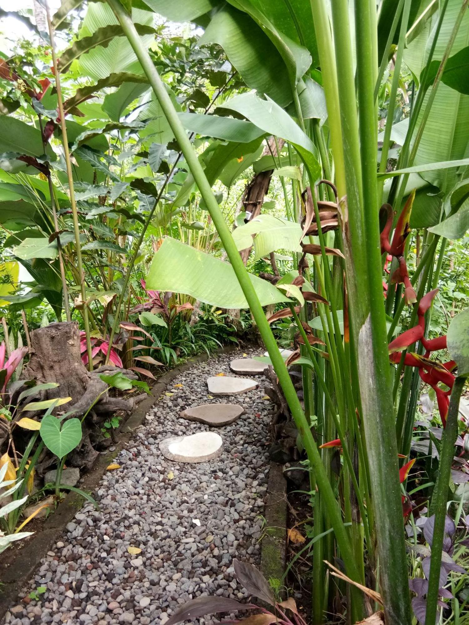 Les Garden Villa เตจากูลา ภายนอก รูปภาพ