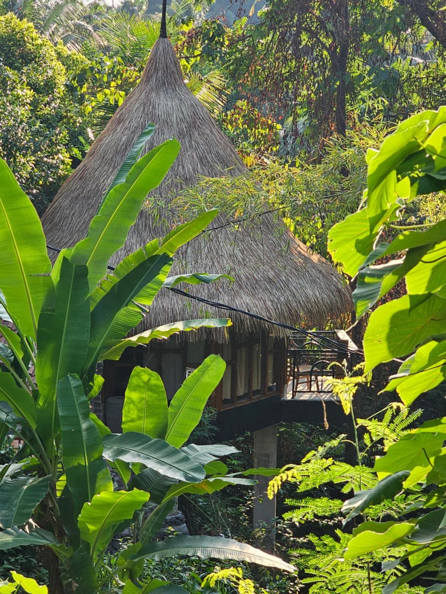Les Garden Villa เตจากูลา ภายนอก รูปภาพ