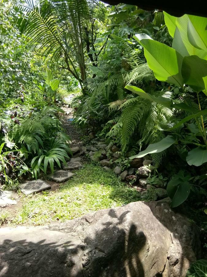 Les Garden Villa เตจากูลา ภายนอก รูปภาพ